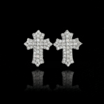 ARETES PARA HOMBRES | Lion Luxury