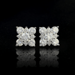 ARETES PARA HOMBRES | Lion Luxury