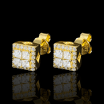 ARETES PARA HOMBRES | Lion Luxury
