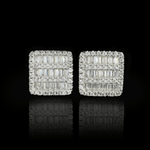 ARETES PARA HOMBRES | Lion Luxury