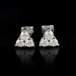 ARETES PARA HOMBRES | Lion Luxury