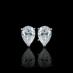 ARETES PARA HOMBRES | Lion Luxury