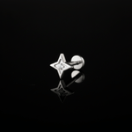 PIERCING TITANIO F136 | Lion Luxury