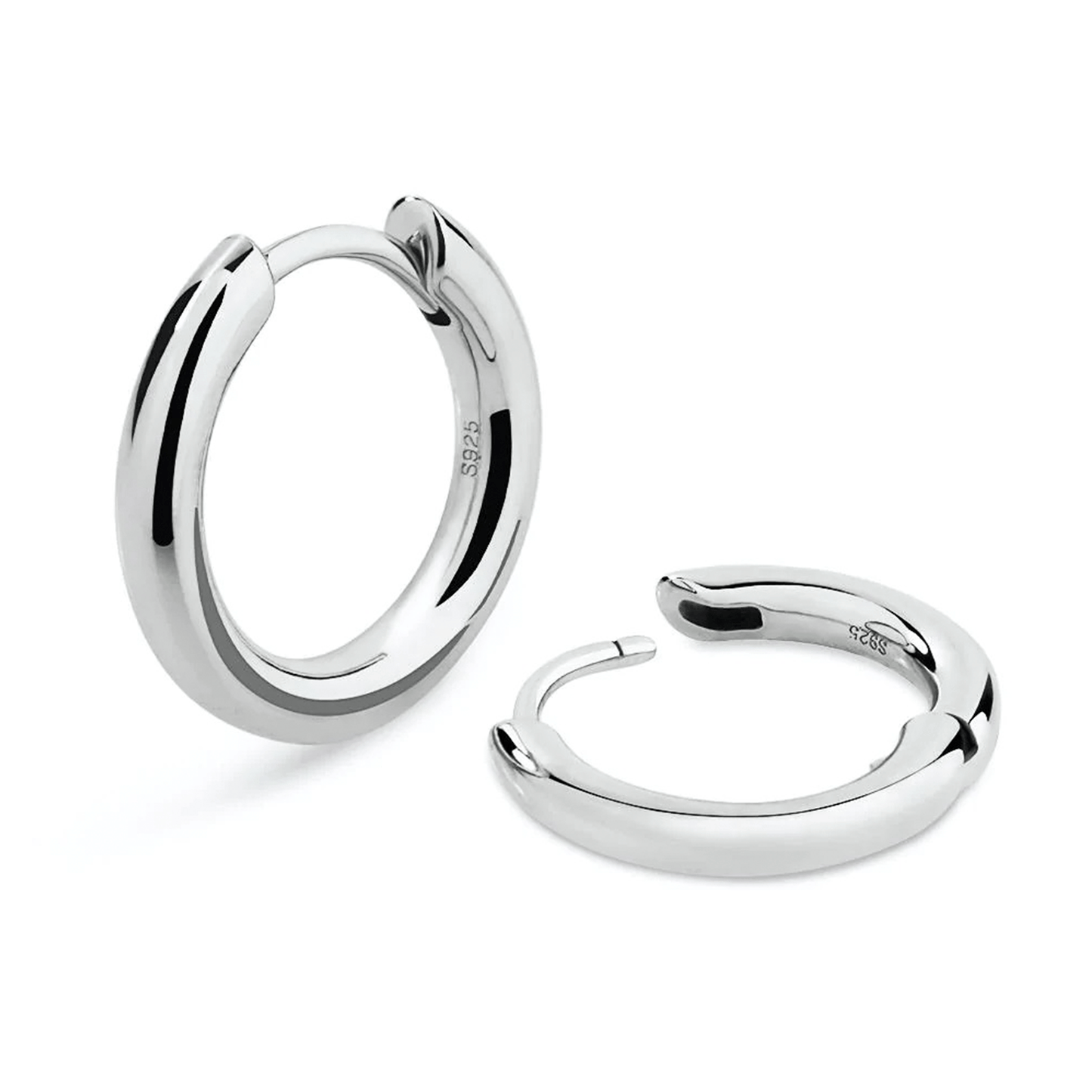 ARETES PARA HOMBRES | Lion Luxury