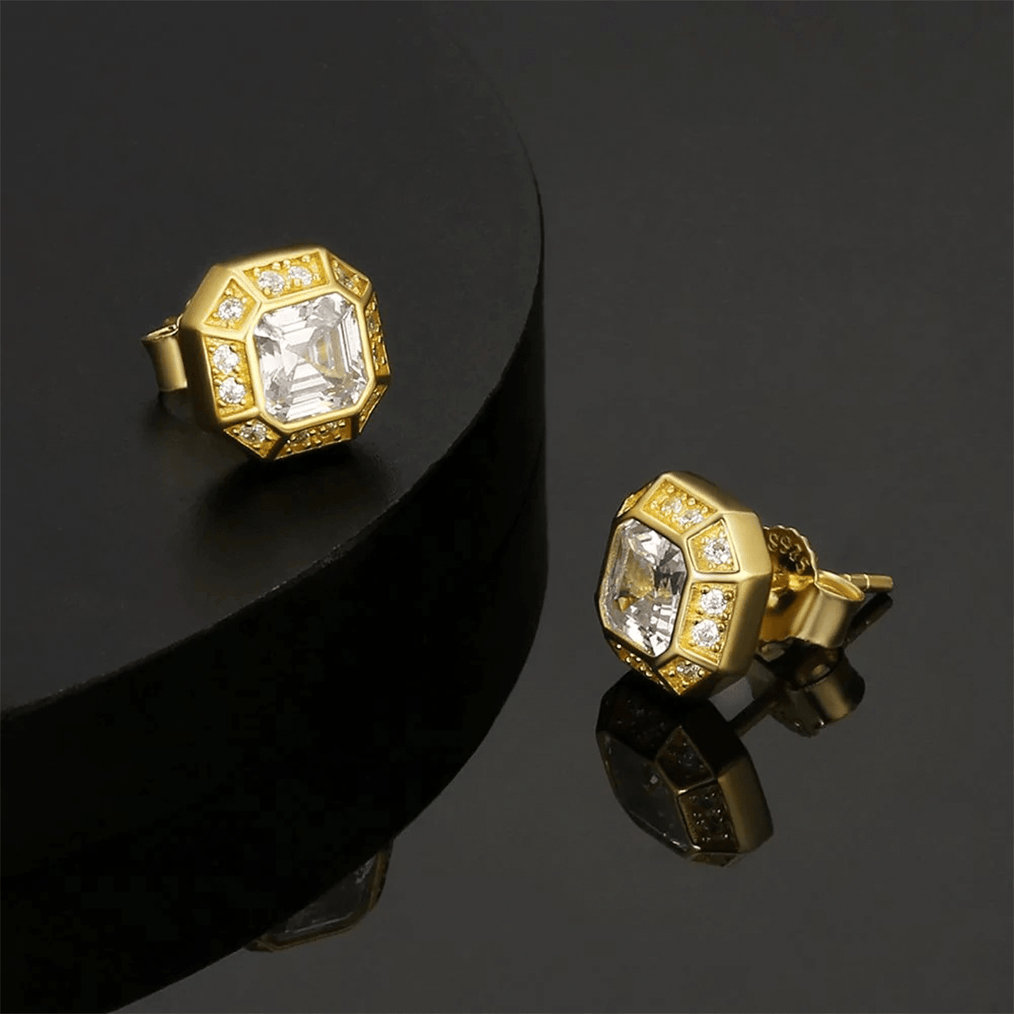 ARETES PARA HOMBRES | Lion Luxury
