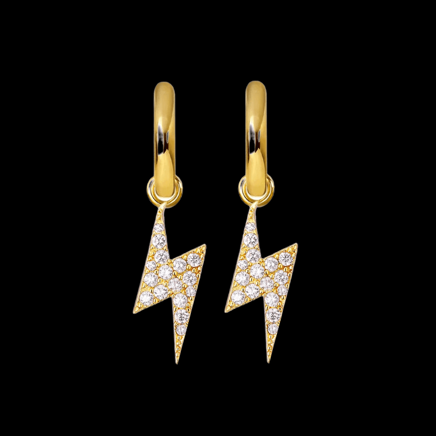 ARETES PARA HOMBRES | Lion Luxury