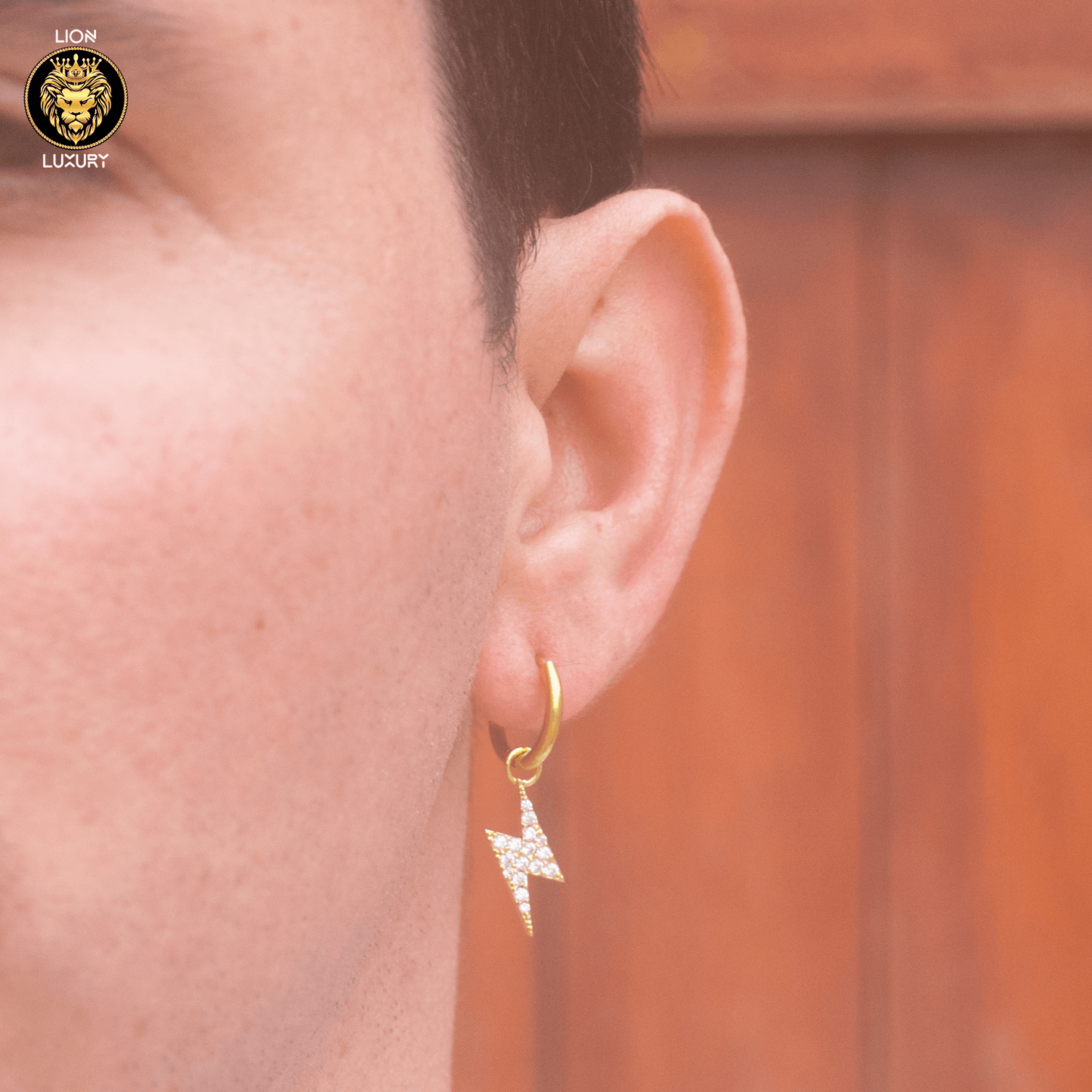 ARETES PARA HOMBRES | Lion Luxury