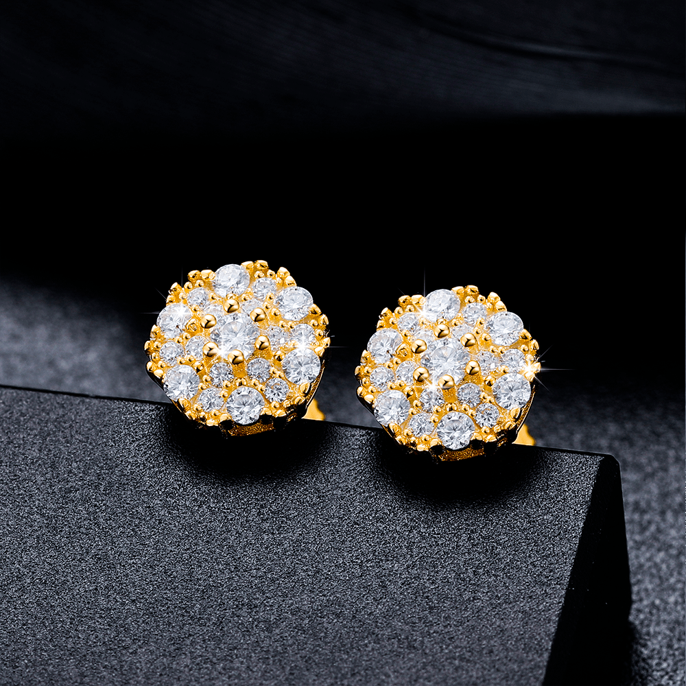 ARETES PARA HOMBRES | Lion Luxury