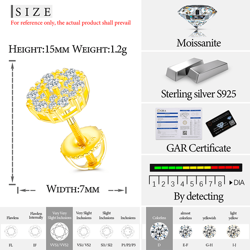 ARETES PARA HOMBRES | Lion Luxury