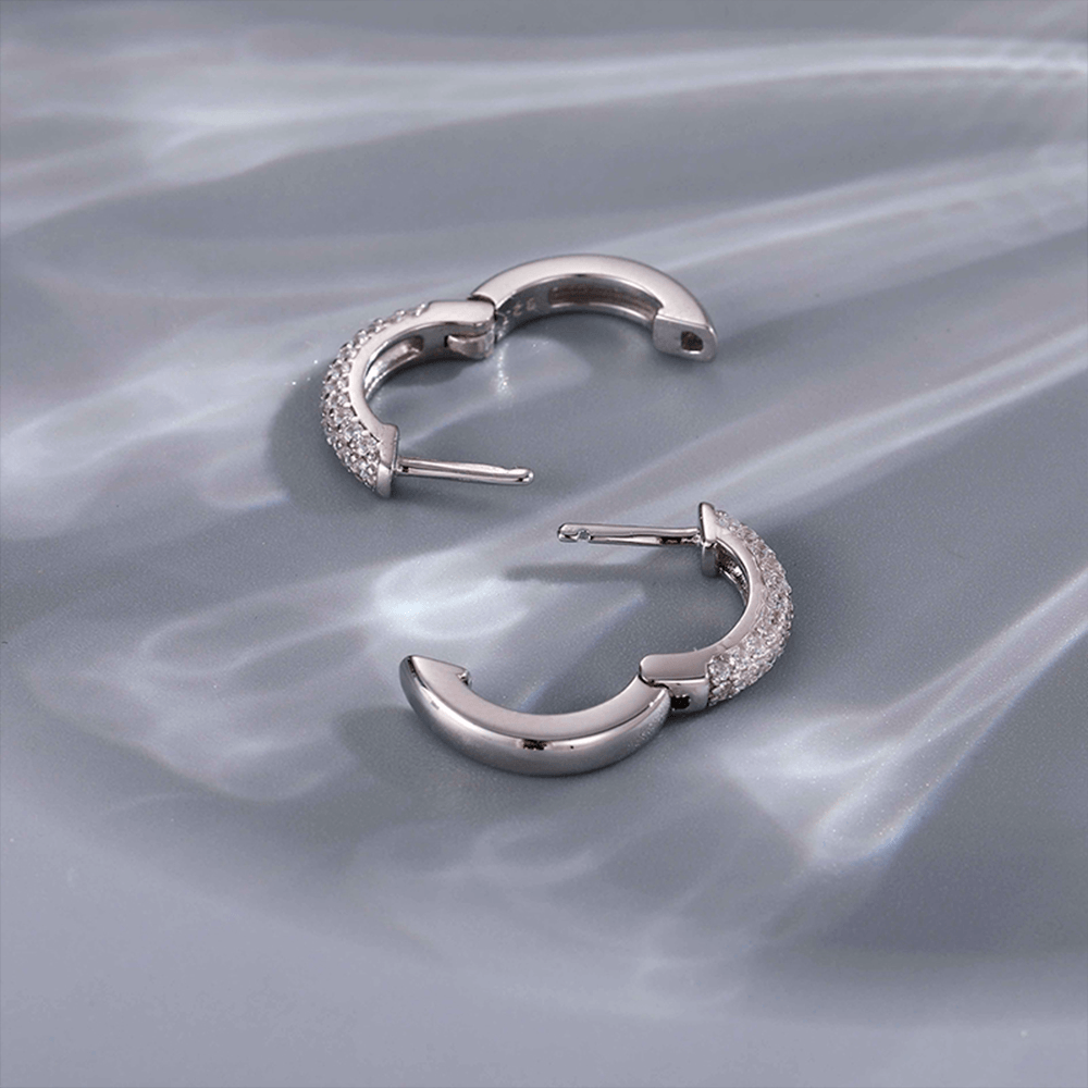 ARETES PARA HOMBRES | Lion Luxury