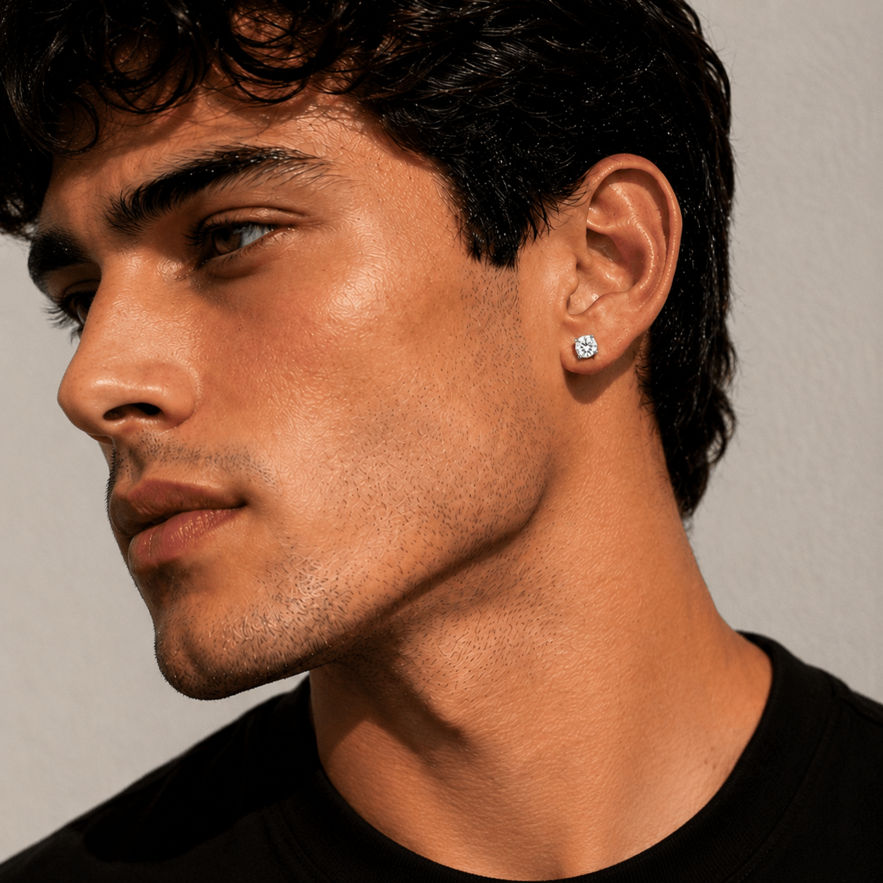 ARETES IMANTADOS