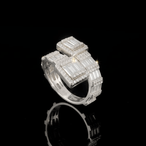 ANILLOS PARA HOMBRES | Lion Luxury