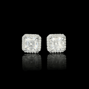 ARETES PARA HOMBRES | Lion Luxury