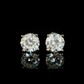 ARETES PARA HOMBRES | Lion Luxury