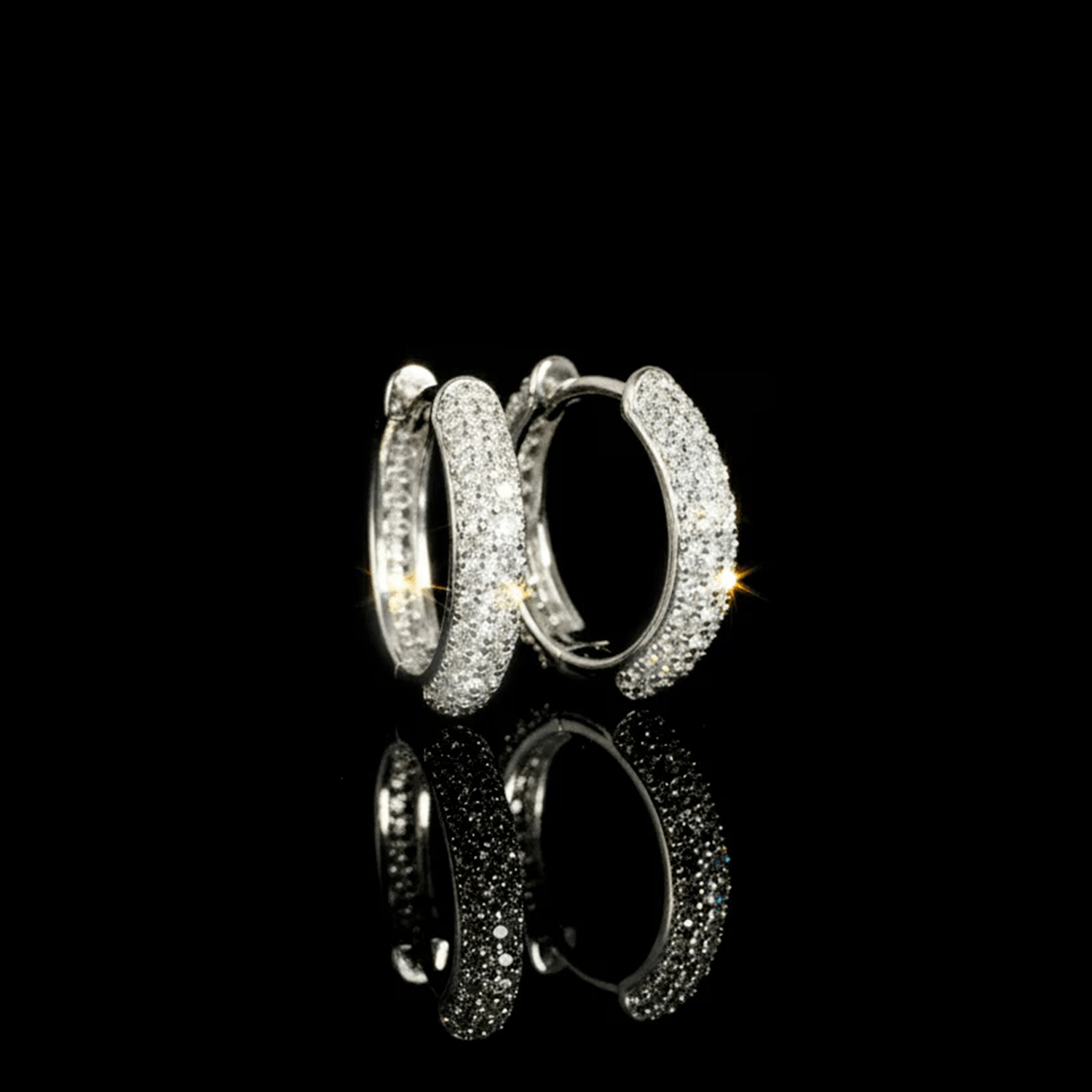 ARETES PARA HOMBRES | Lion Luxury