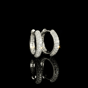 ARETES PARA HOMBRES | Lion Luxury