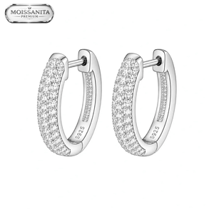 ARETES PARA HOMBRES | Lion Luxury