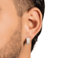 ARETES PARA HOMBRES | Lion Luxury