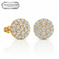 ARETES PARA HOMBRES | Lion Luxury