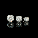 ARETES PARA HOMBRES | Lion Luxury