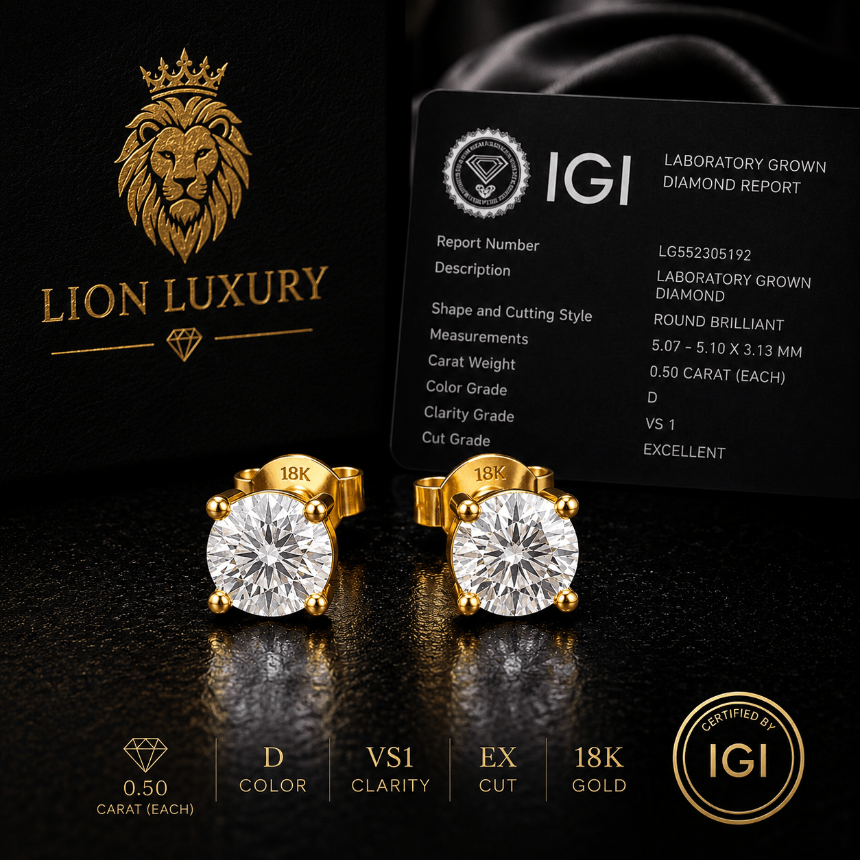 ARETES PARA HOMBRES | Lion Luxury