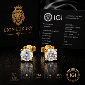 ARETES PARA HOMBRES | Lion Luxury