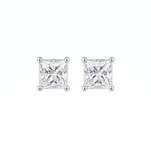 ARETES PARA HOMBRES | Lion Luxury