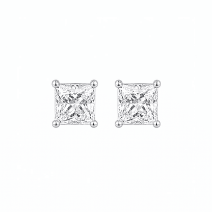 ARETES PARA HOMBRES | Lion Luxury