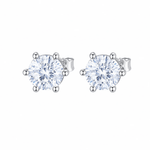 ARETES PARA HOMBRES | Lion Luxury