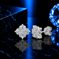 ARETES PARA HOMBRES | Lion Luxury