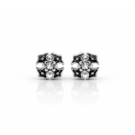 ARETES PARA HOMBRES | Lion Luxury