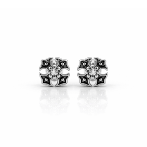 ARETES PARA HOMBRES | Lion Luxury