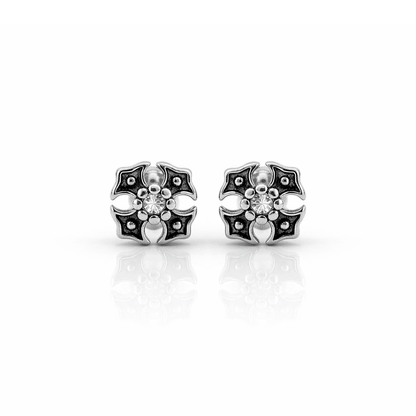 ARETES PARA HOMBRES | Lion Luxury