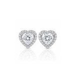ARETES PARA HOMBRES | Lion Luxury