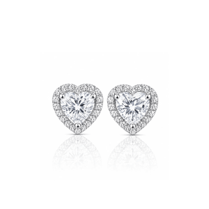 ARETES PARA HOMBRES | Lion Luxury
