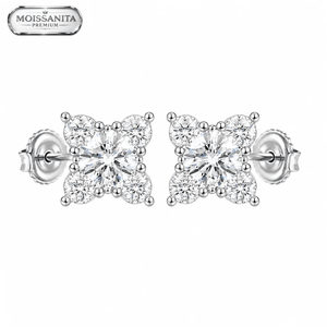 ARETES PARA HOMBRES | Lion Luxury