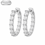 ARETES PARA HOMBRES | Lion Luxury