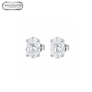 ARETES PARA HOMBRES | Lion Luxury