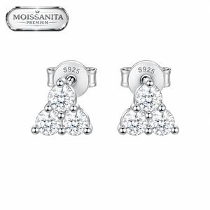 ARETES PARA HOMBRES | Lion Luxury