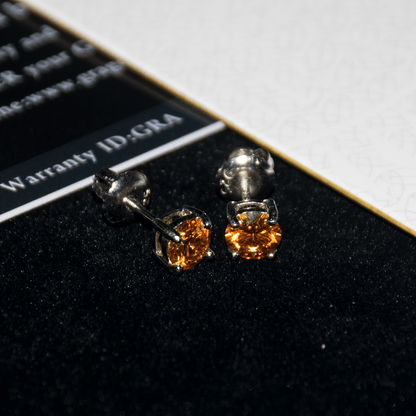 ARETES PARA HOMBRES | Lion Luxury