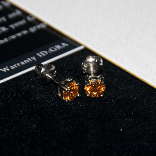 ARETES PARA HOMBRES | Lion Luxury