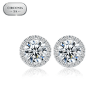 ARETES PARA HOMBRES | Lion Luxury
