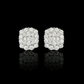 ARETES PARA HOMBRES | Lion Luxury