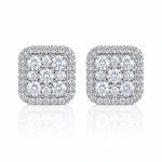 ARETES PARA HOMBRES | Lion Luxury
