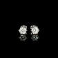 ARETES PARA HOMBRES | Lion Luxury