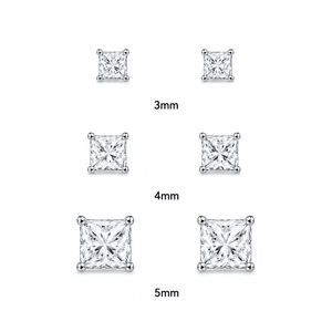 ARETES PARA HOMBRES | Lion Luxury