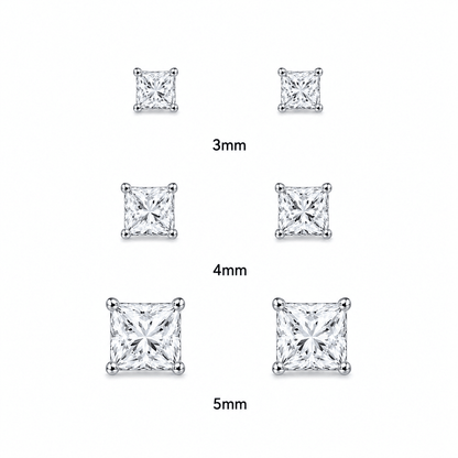 ARETES PARA HOMBRES | Lion Luxury