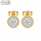 ARETES PARA HOMBRES | Lion Luxury
