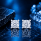 ARETES PARA HOMBRES | Lion Luxury