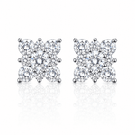 ARETES PARA HOMBRES | Lion Luxury